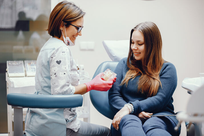 Dentist explaining a dental model to an adult patient.