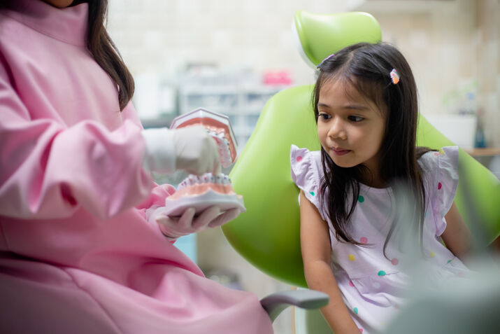 Dentist showing a dental model to a young child in a clinic.